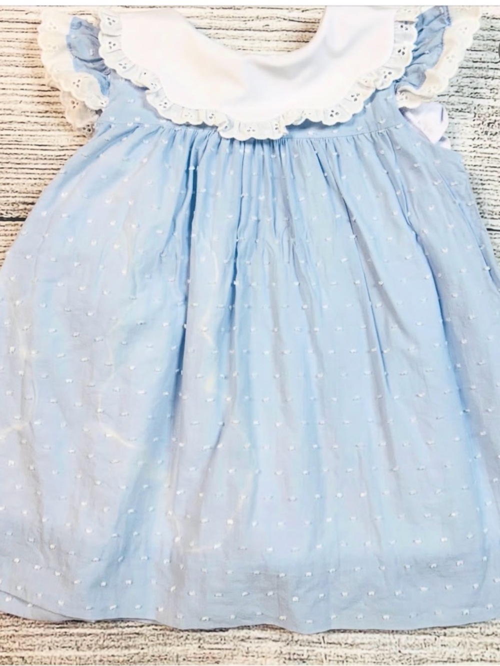 Light Blue Swiss Dot Dress with Eyelet Collar (has stain)